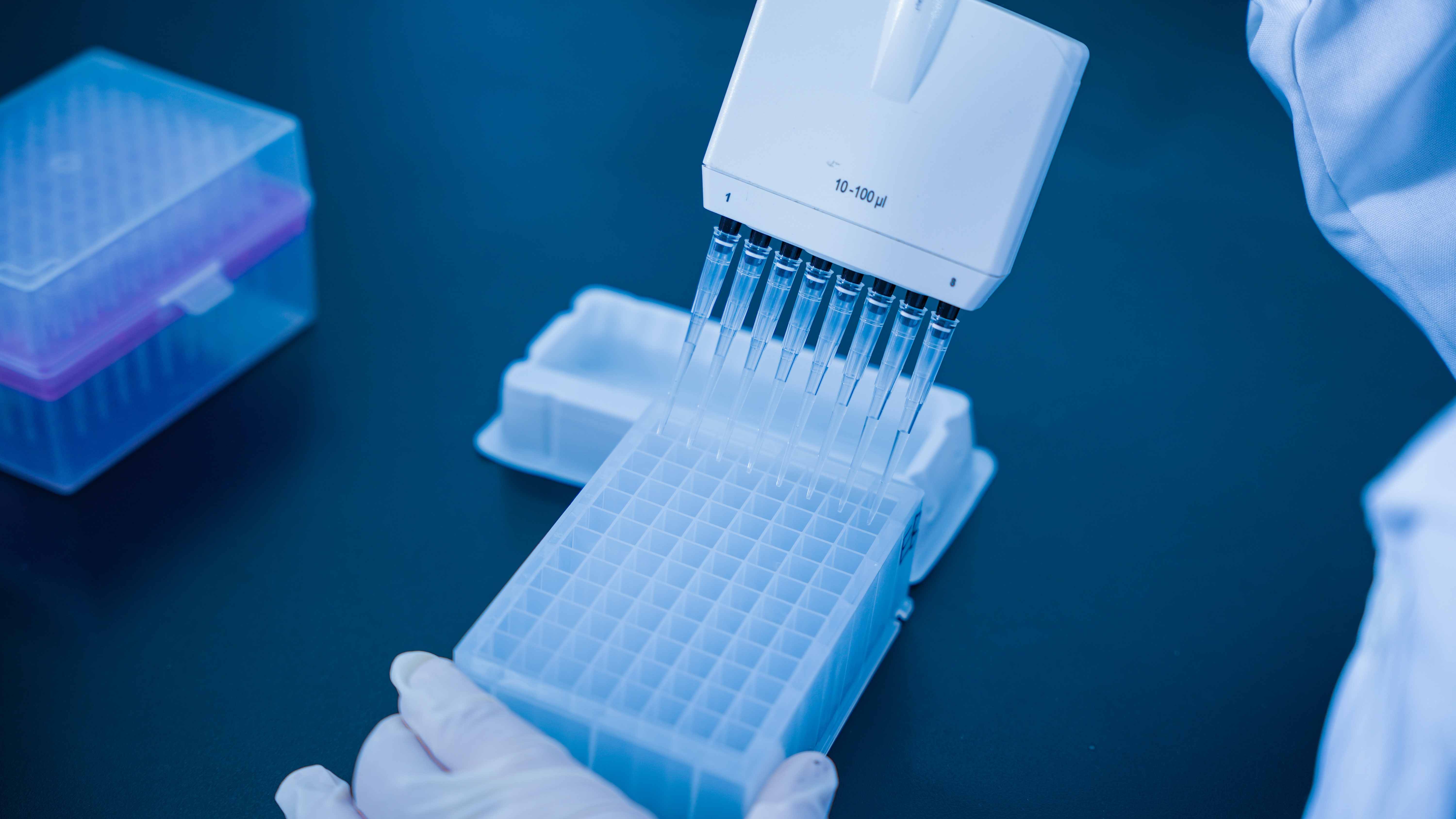 分子克隆与检测平台