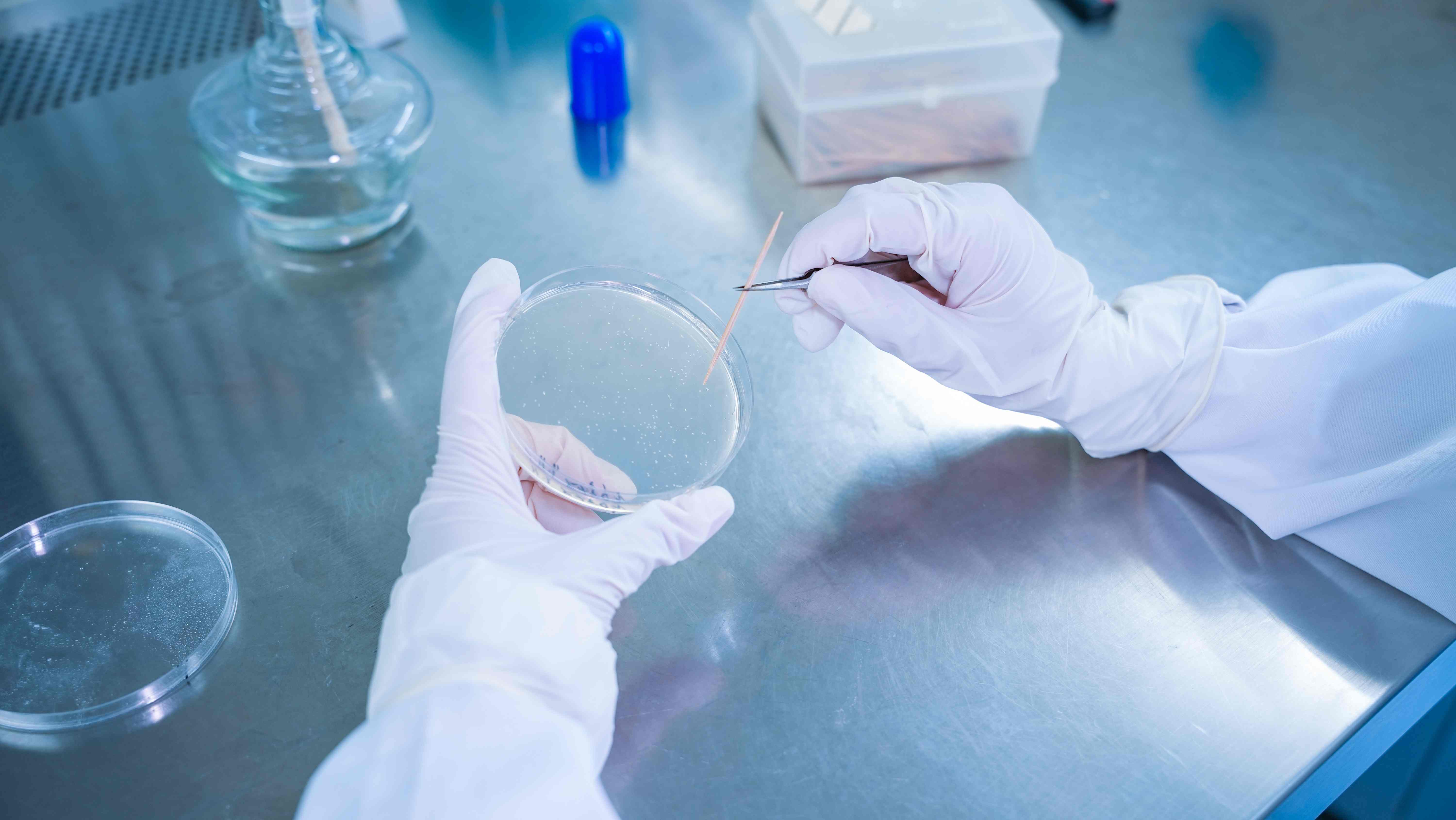 分子克隆与检测平台