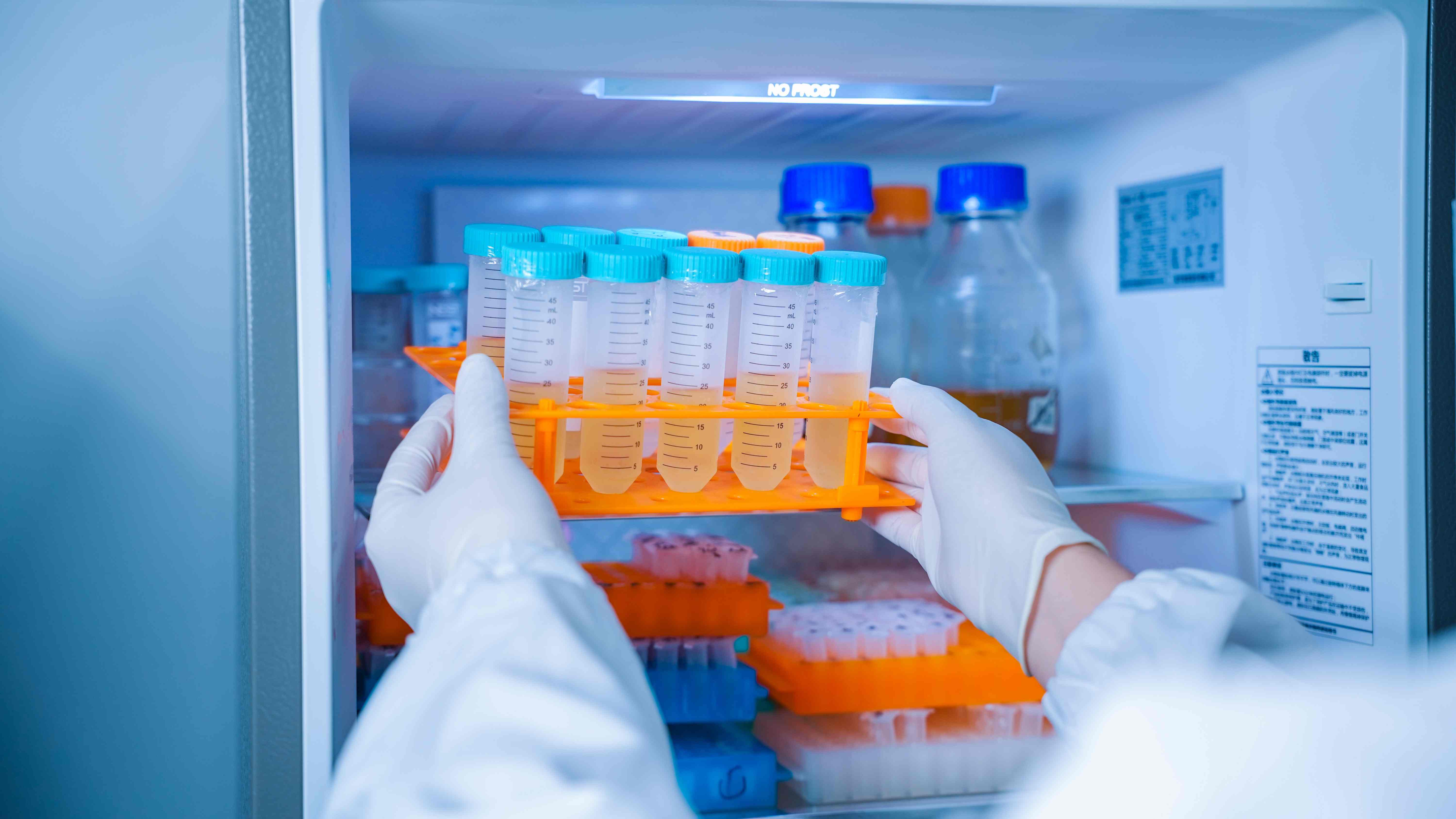 分子克隆与检测平台