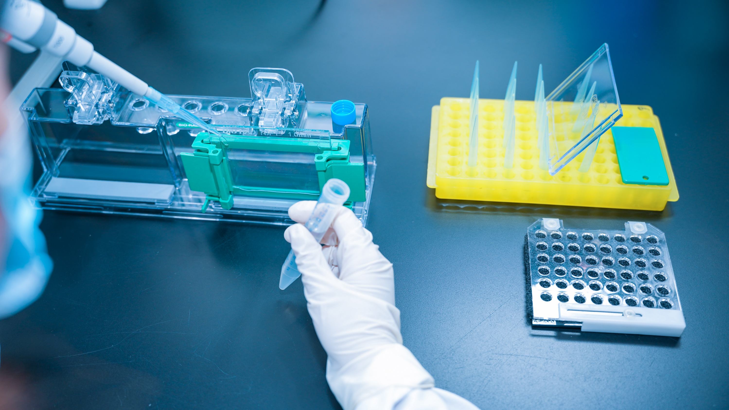 分子克隆与检测平台