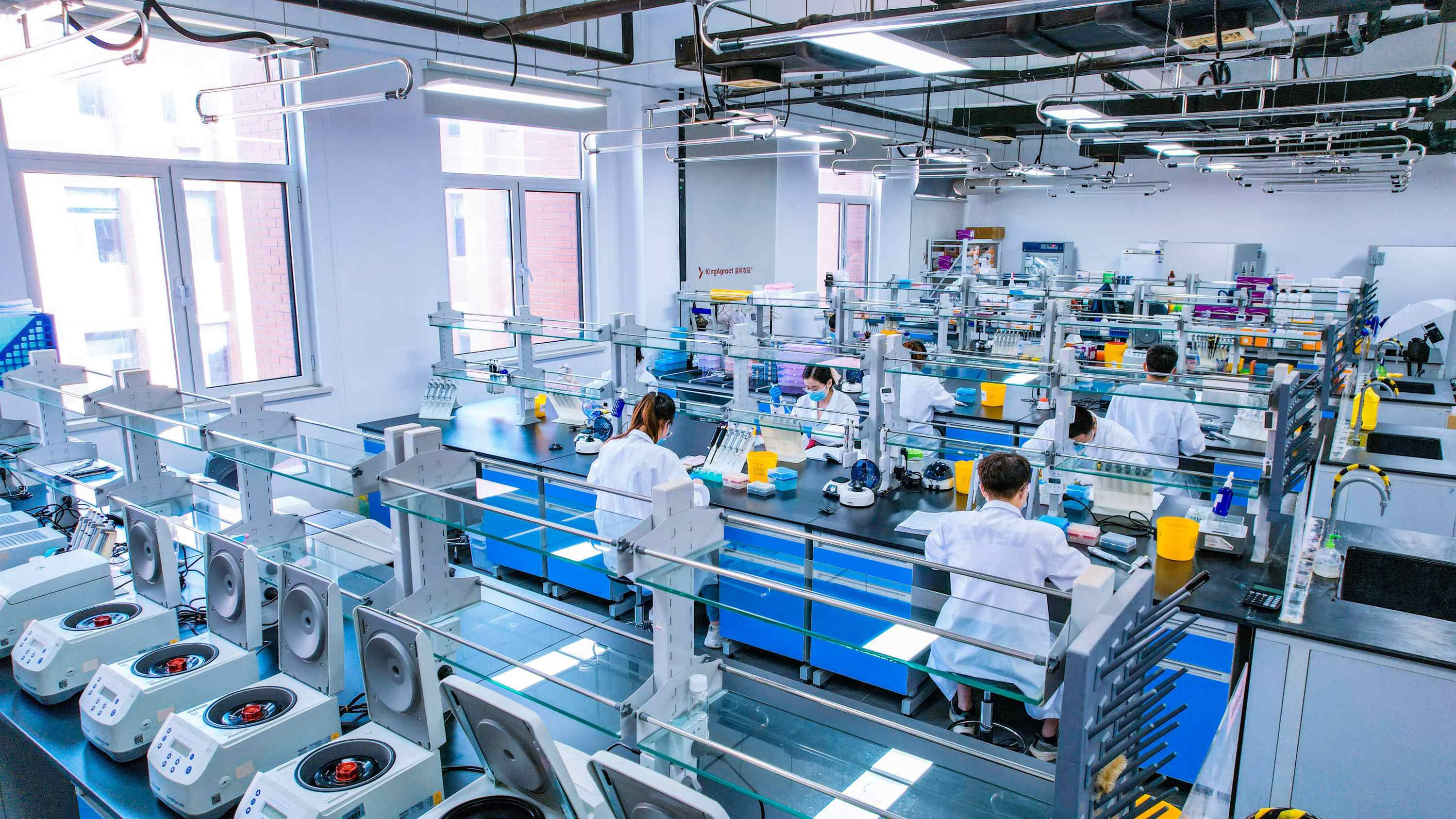 分子克隆与检测平台