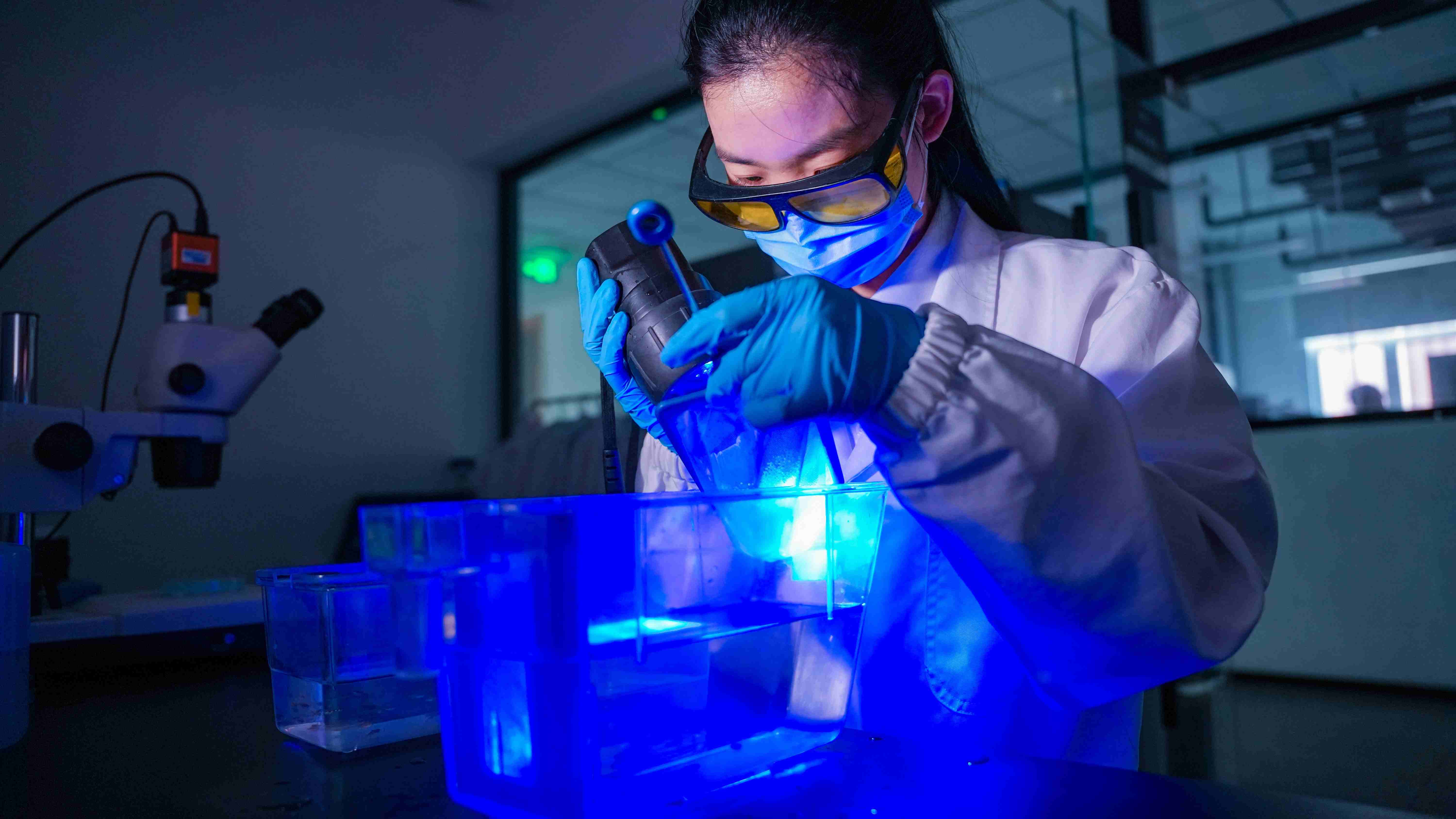 鱼胚胎工程平台