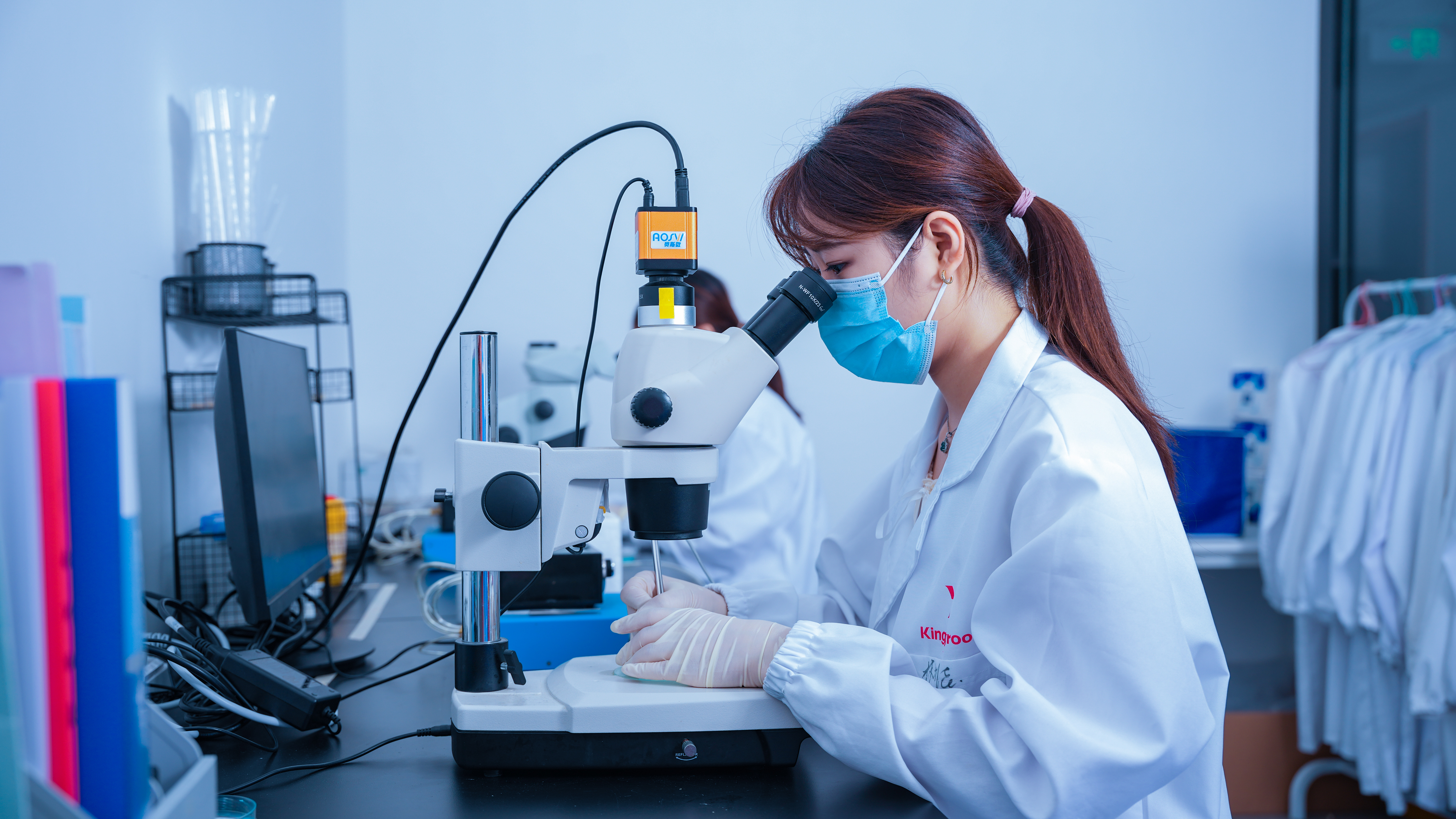 鱼胚胎工程平台