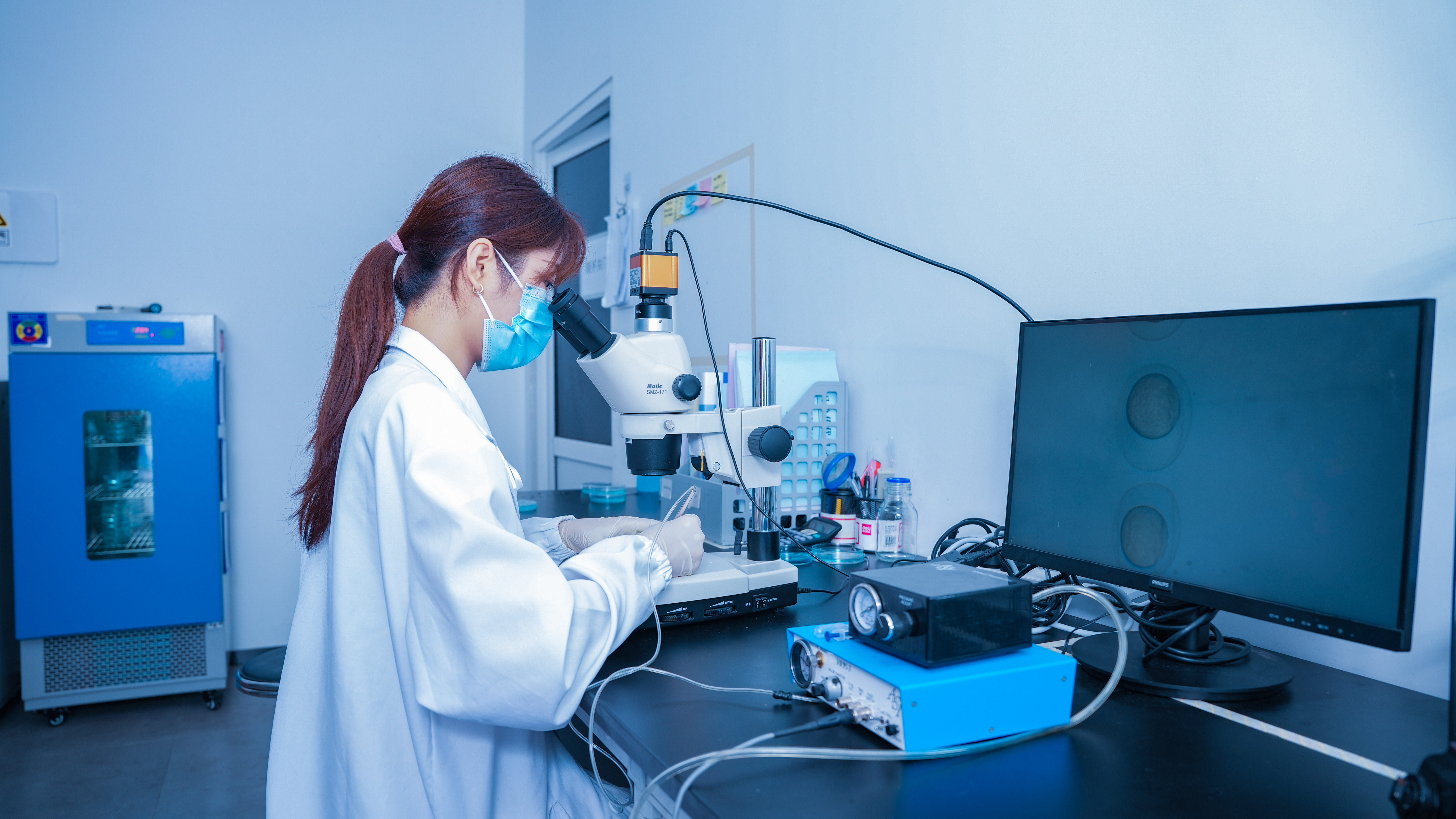 鱼胚胎工程平台