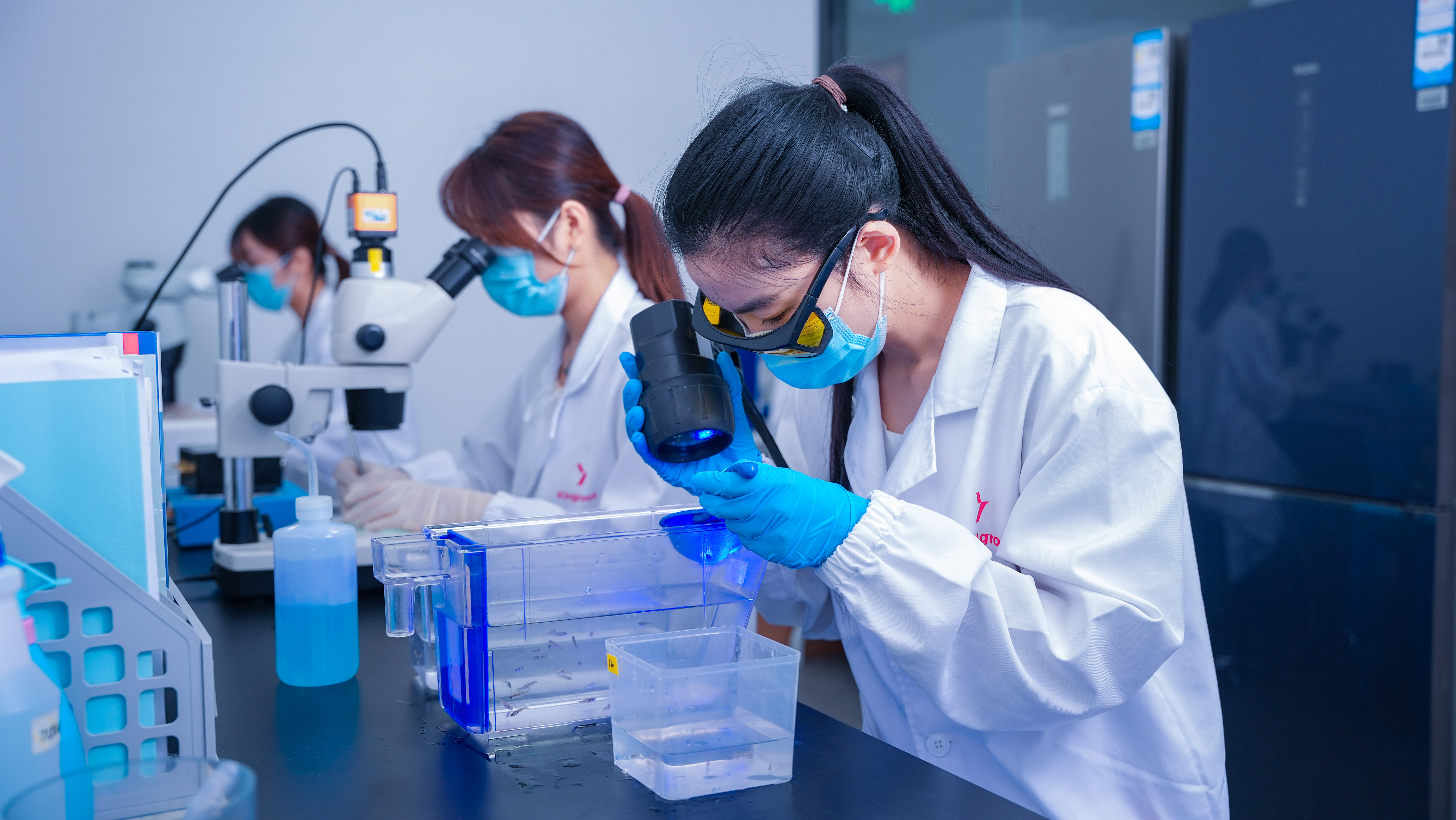 鱼胚胎工程平台