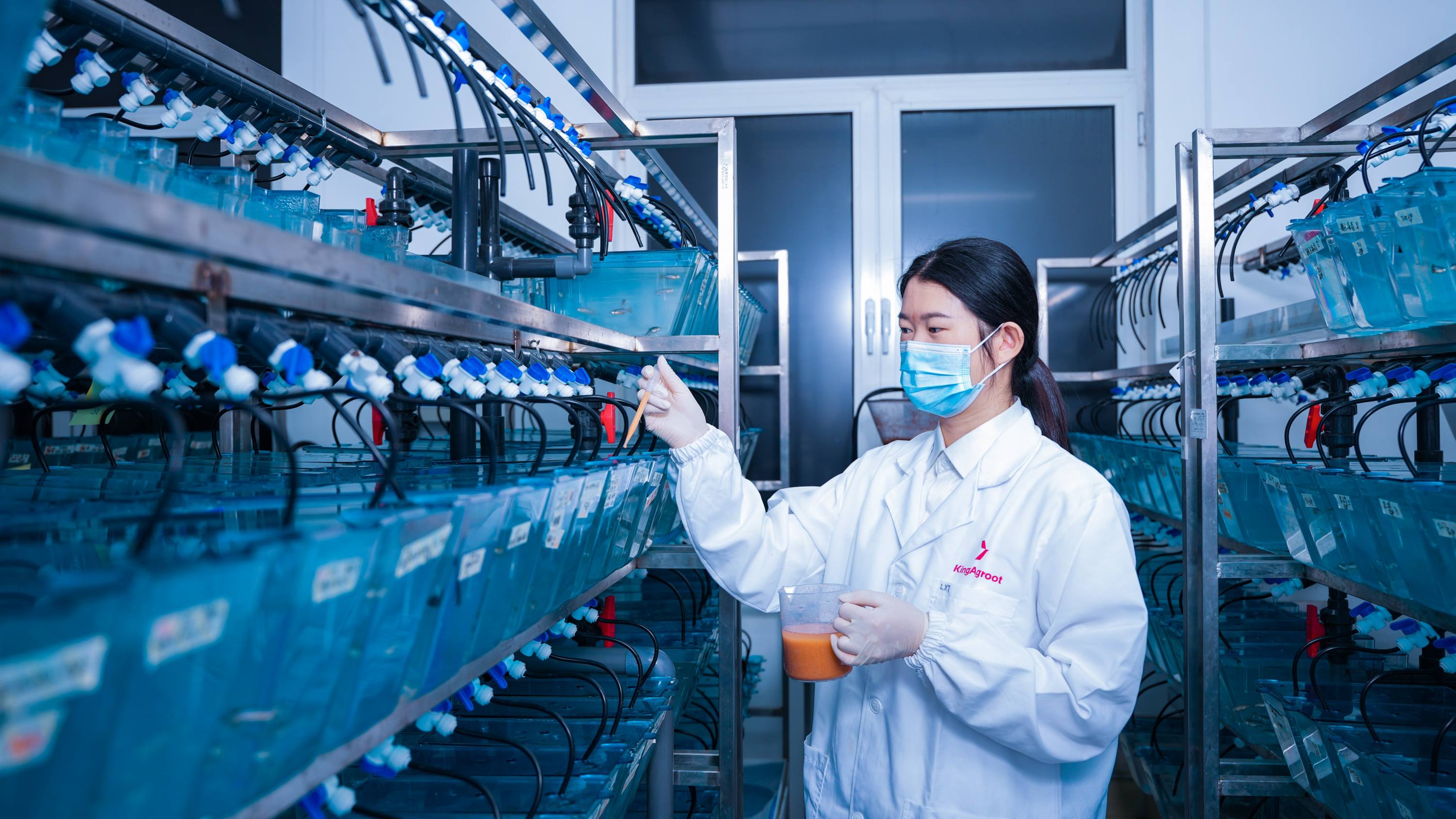 斑马鱼养殖平台