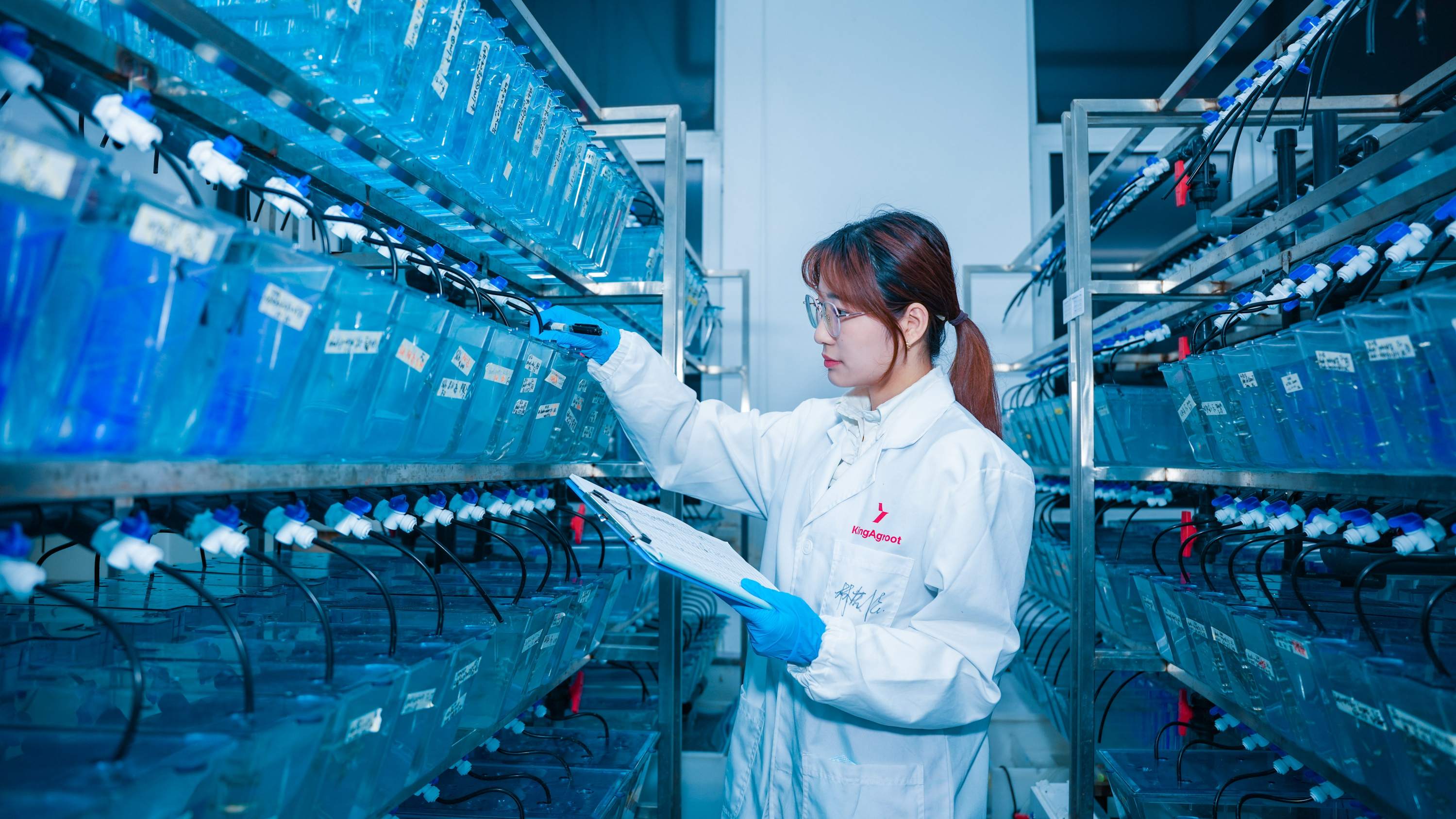 斑马鱼养殖平台