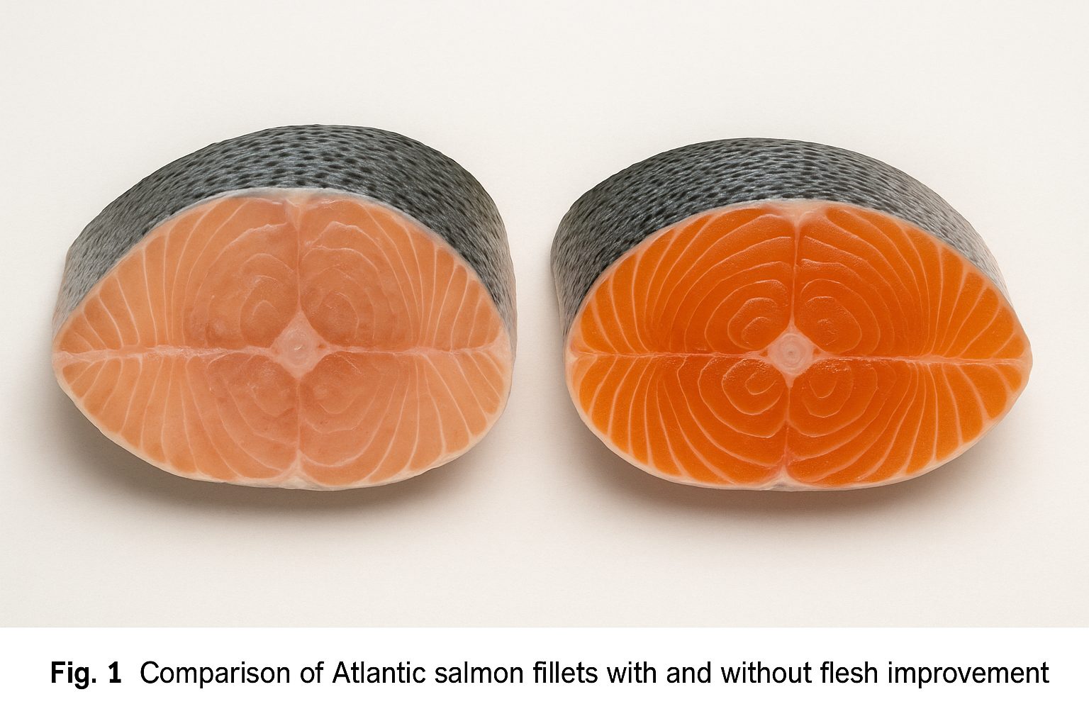 大西洋鲑基因编辑管线